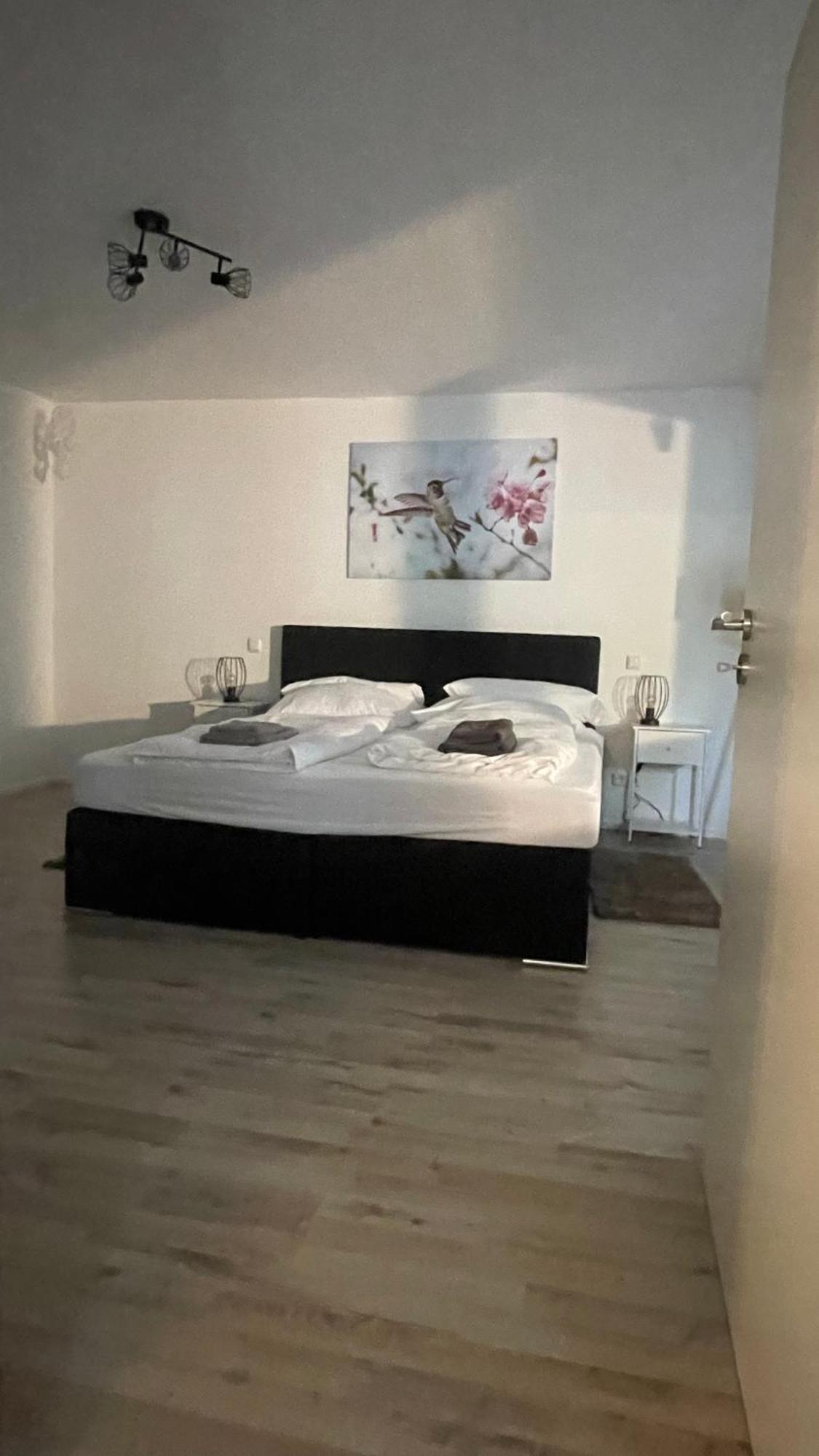 Oase Im Gruenen Hinterhof, Eg, Ruhe, Terrasse, Carport, Free Paytv, Kaffee&Tee, Fahrraeder Apartment Duisburg Ngoại thất bức ảnh